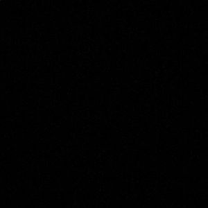 Meet your Posher, Jackson